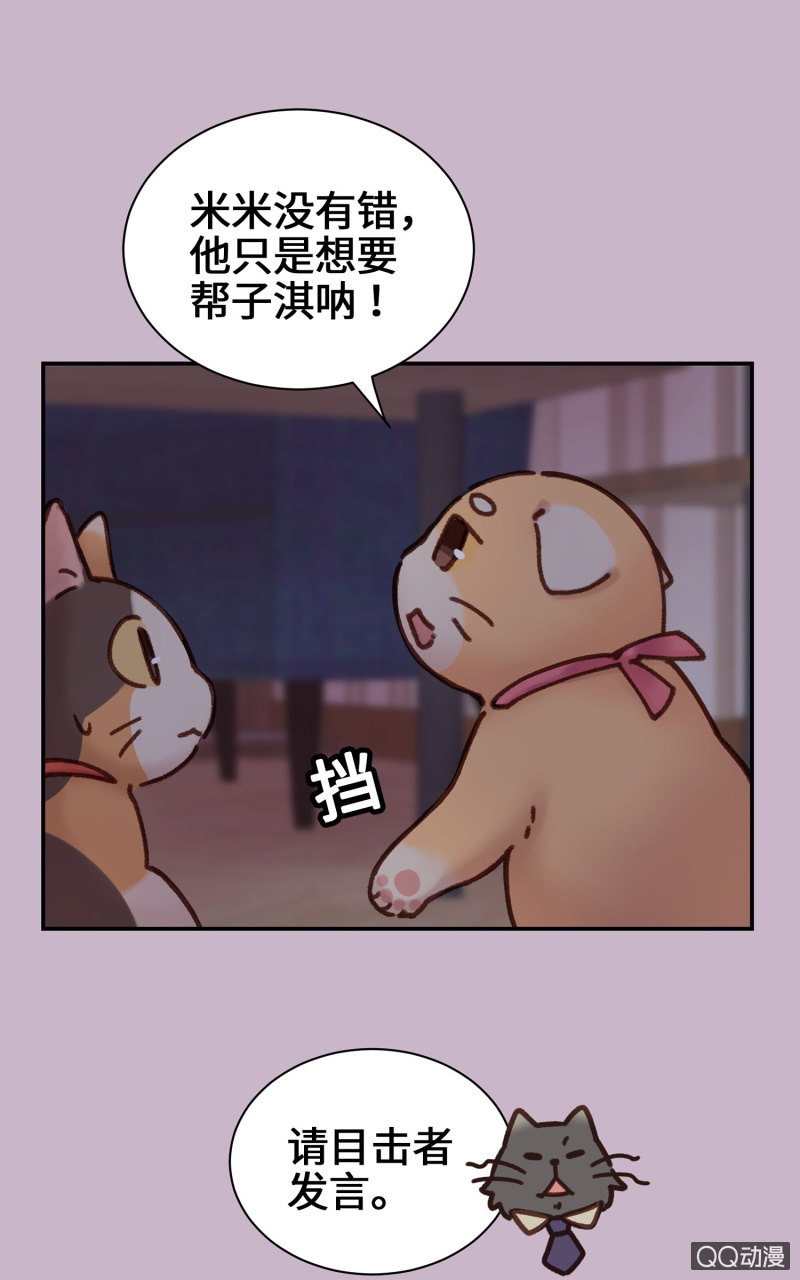 第10杯『猫法庭！』-第12话