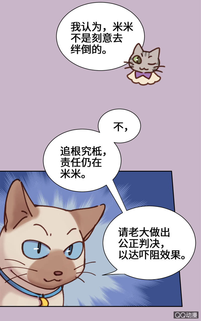 第10杯『猫法庭！』-第12话