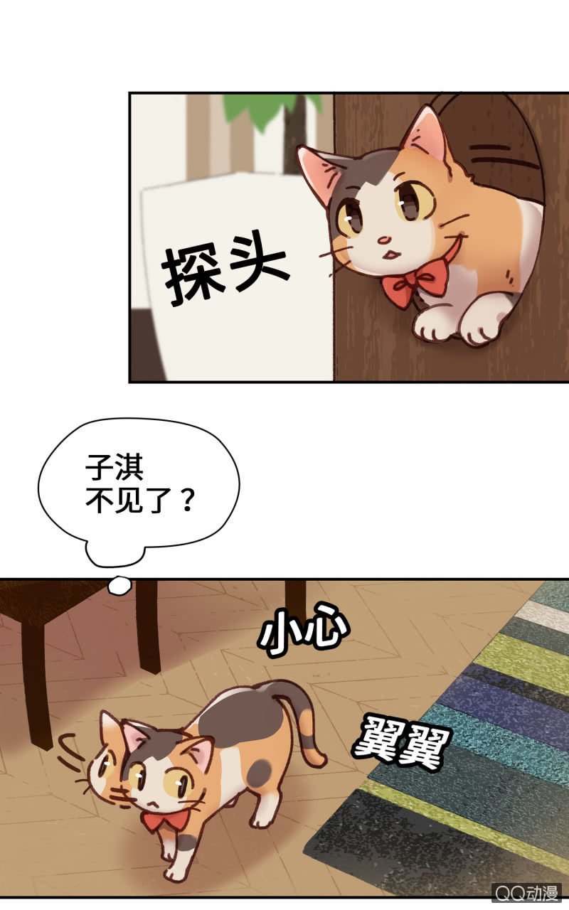 第10杯『猫法庭！』-第12话