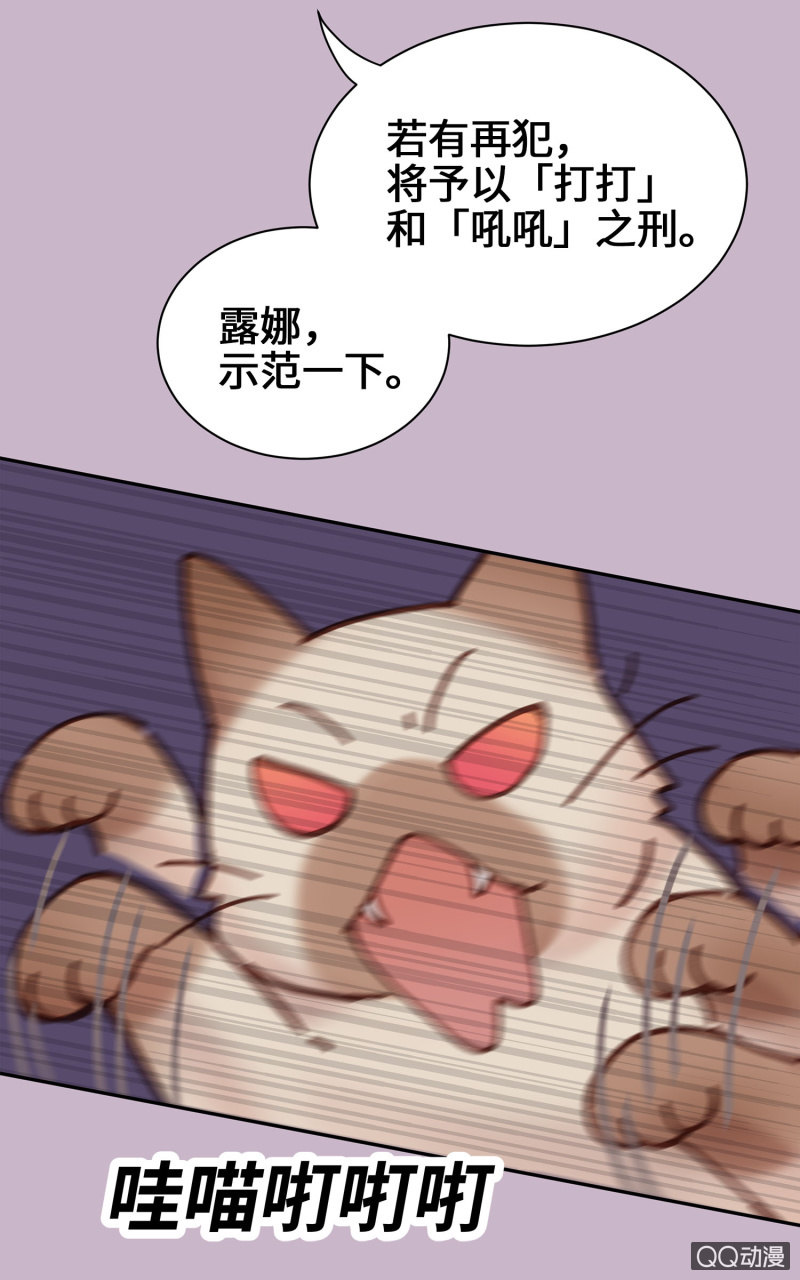 第10杯『猫法庭！』-第12话