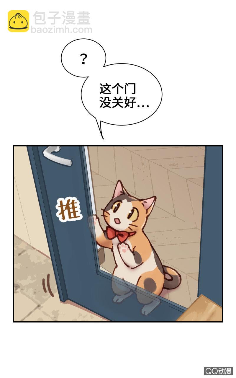 第10杯『猫法庭！』-第12话