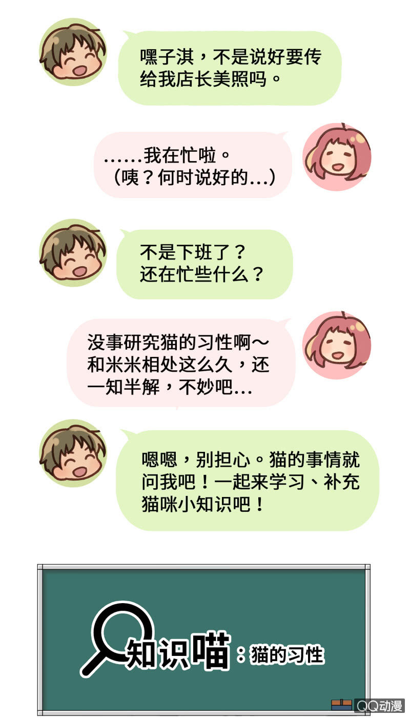 番外篇『知识喵：猫的习性』-第30话