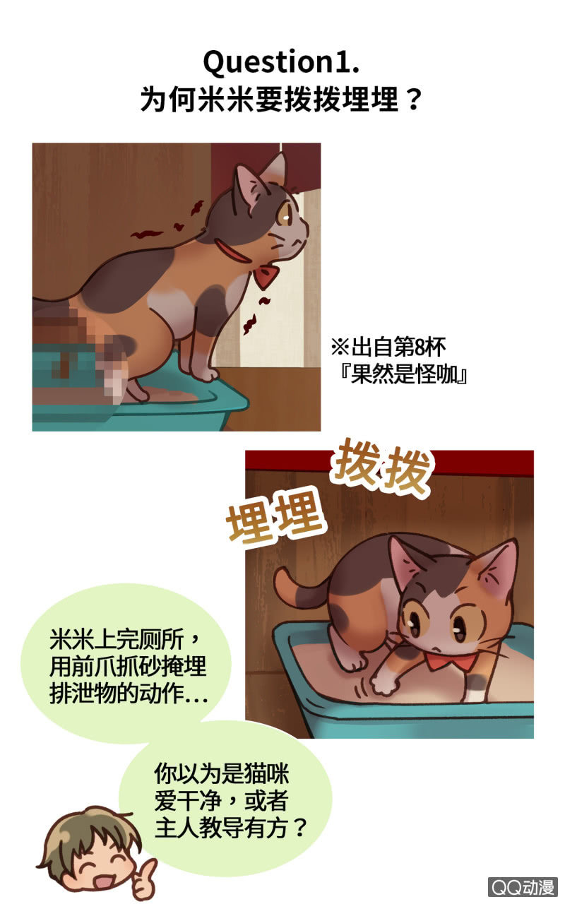 番外篇『知识喵：猫的习性』-第30话