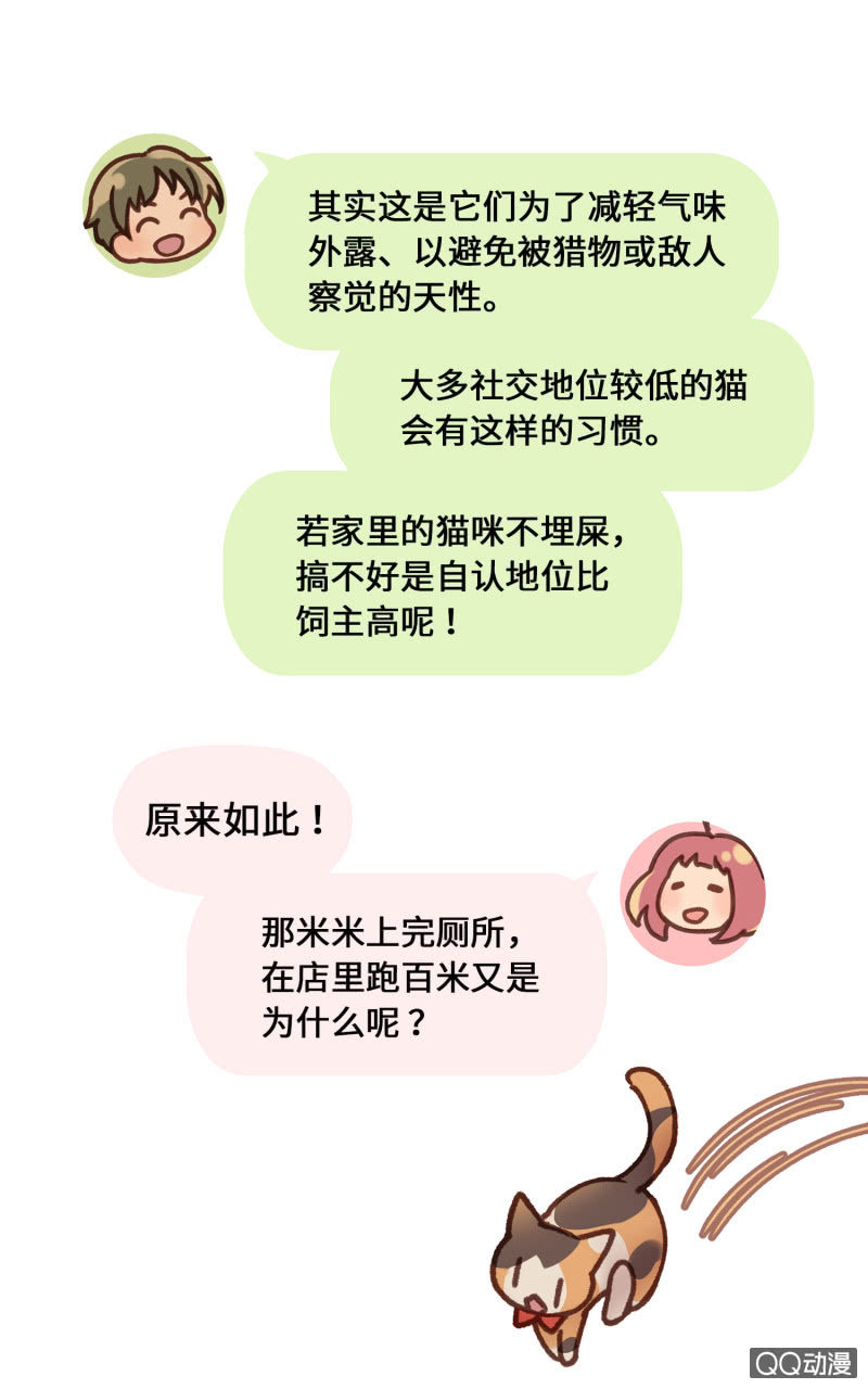 番外篇『知识喵：猫的习性』-第30话