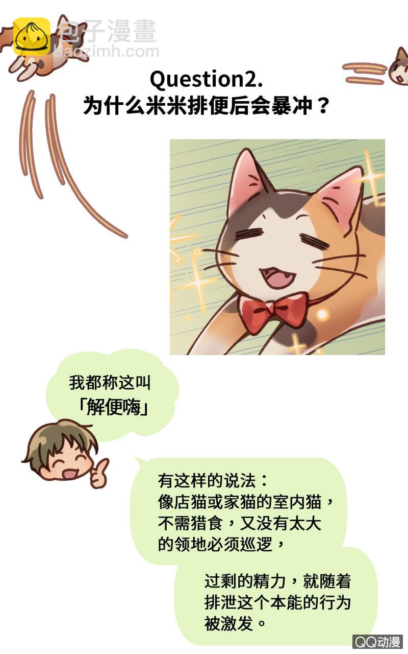 番外篇『知识喵：猫的习性』-第30话