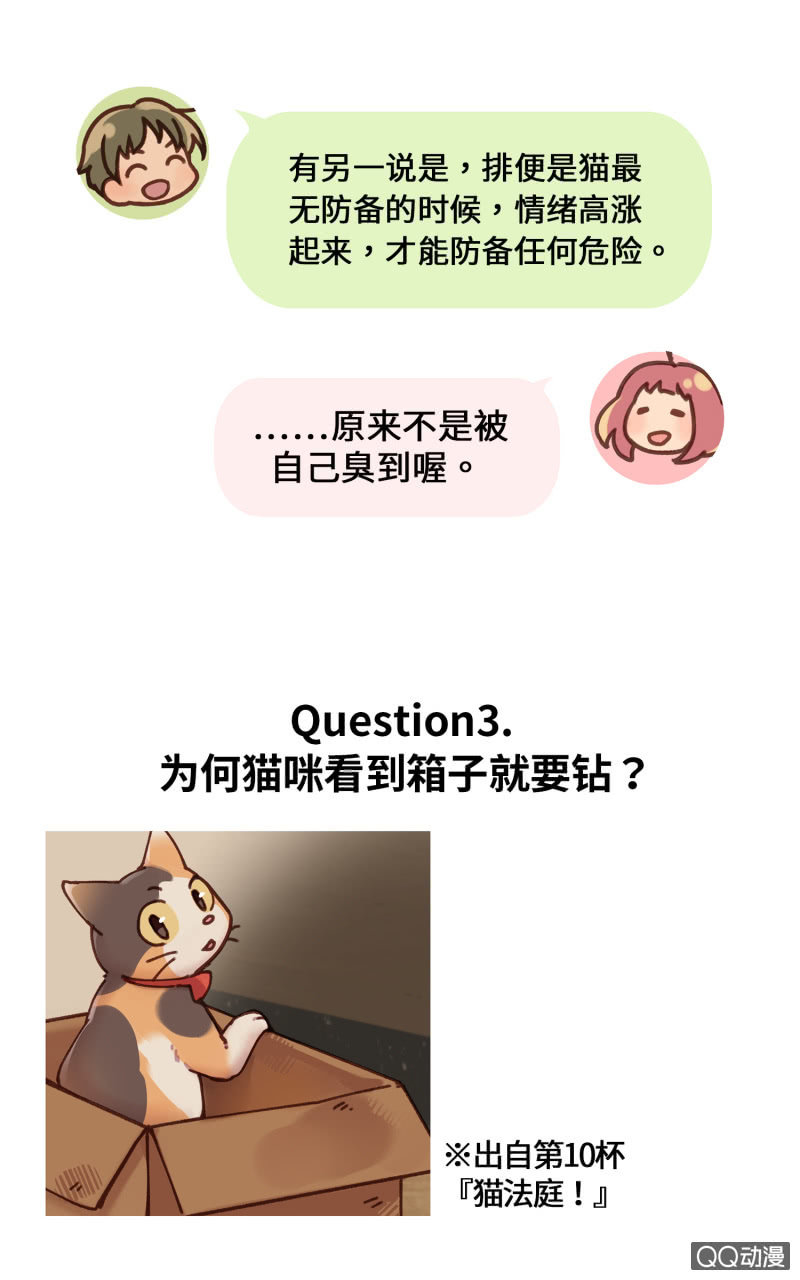 番外篇『知识喵：猫的习性』-第30话