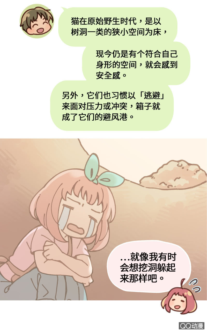 番外篇『知识喵：猫的习性』-第30话