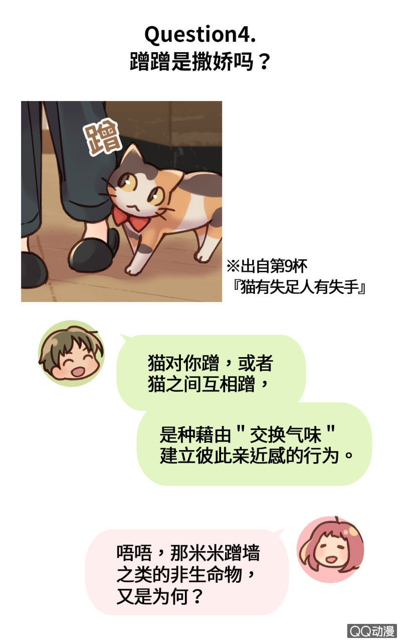 番外篇『知识喵：猫的习性』-第30话
