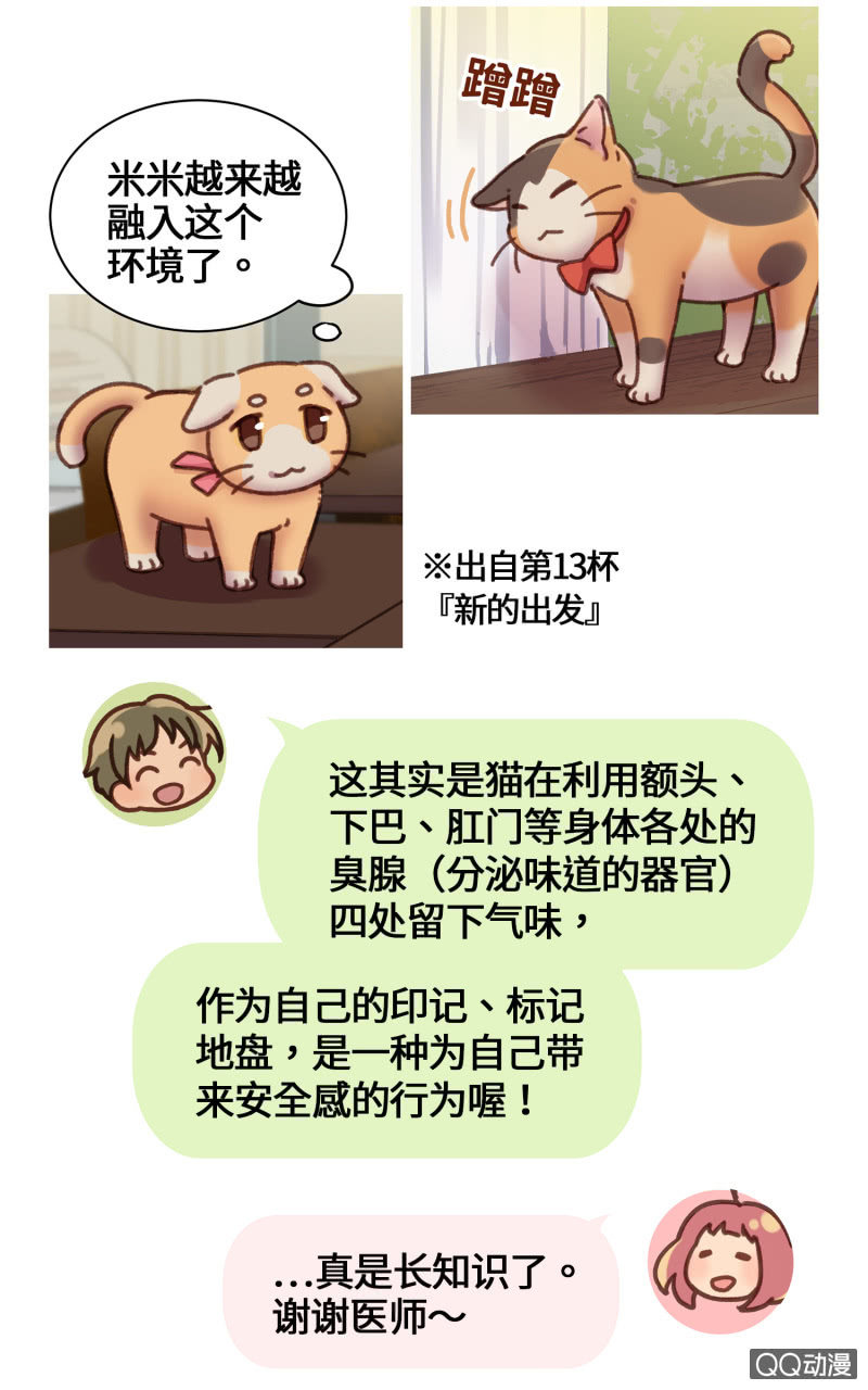 番外篇『知识喵：猫的习性』-第30话