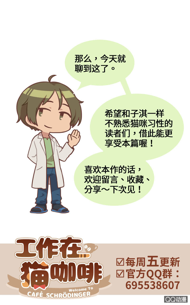 番外篇『知识喵：猫的习性』-第30话