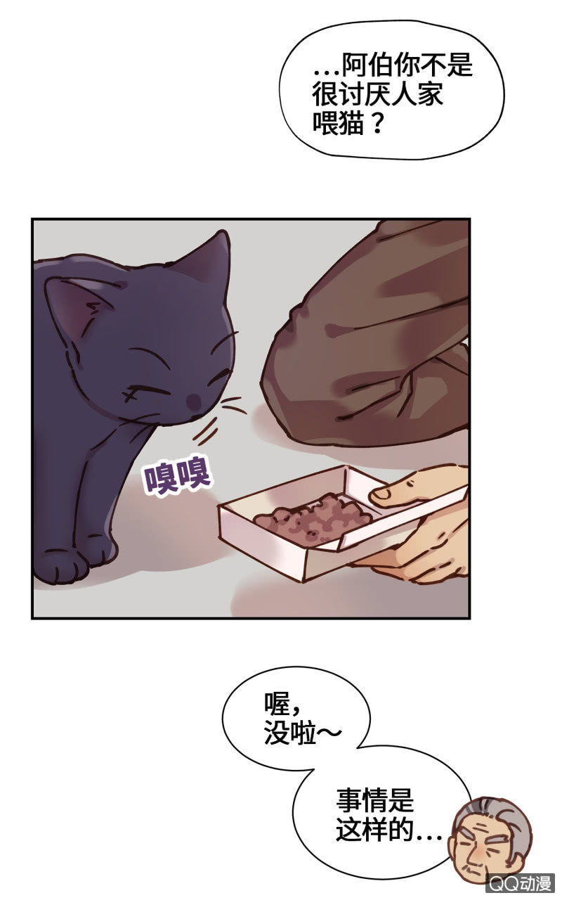 第28杯『半套的爱心』-第32话
