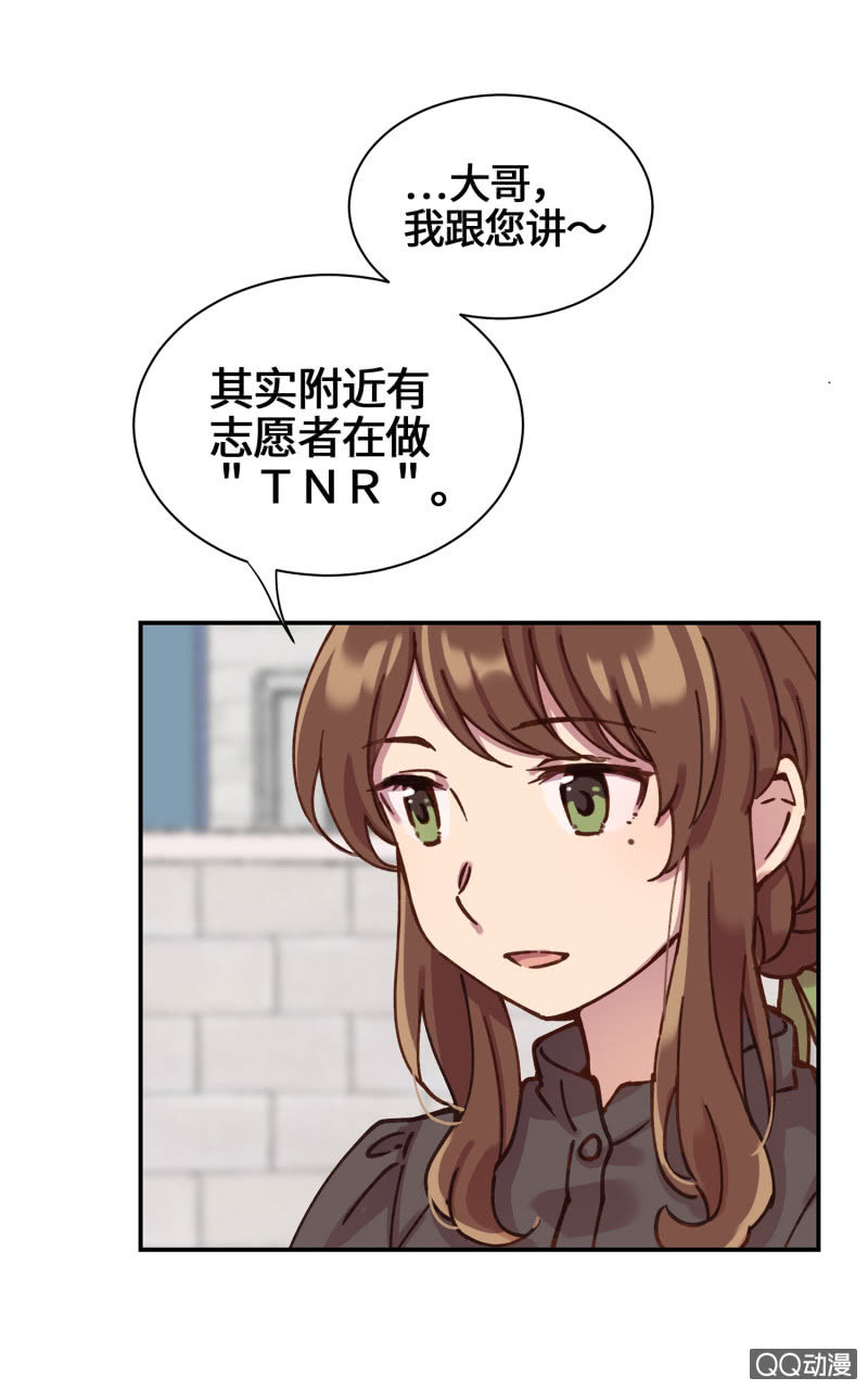 第28杯『半套的爱心』-第32话