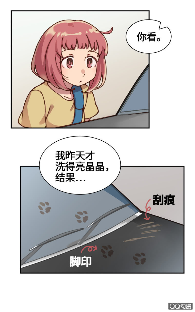 第28杯『半套的爱心』-第32话