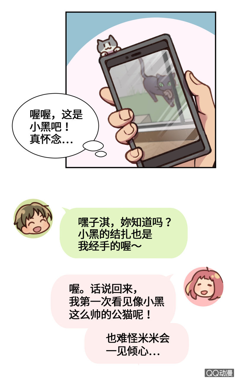 番外篇『知识喵：吾家有猫初长成』-第36话