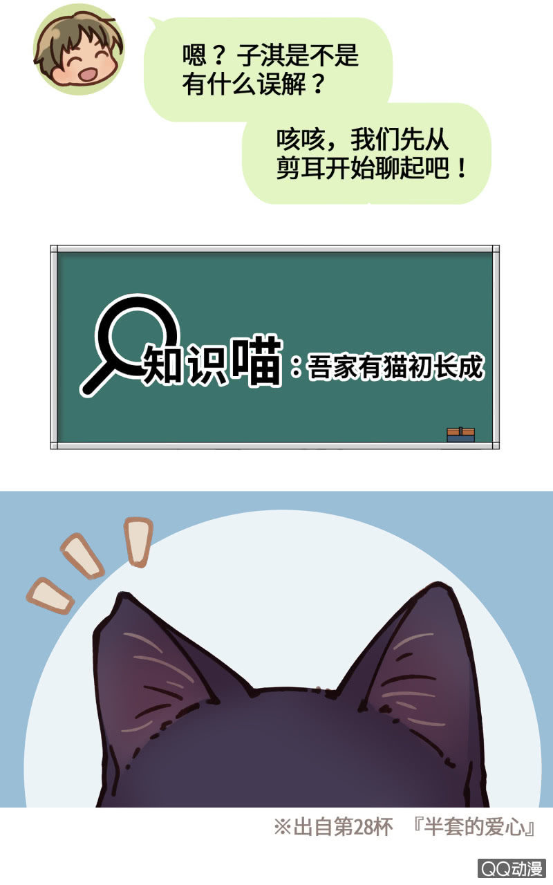 番外篇『知识喵：吾家有猫初长成』-第36话