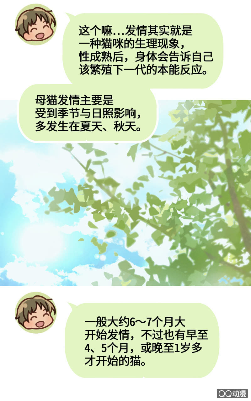 番外篇『知识喵：吾家有猫初长成』-第36话