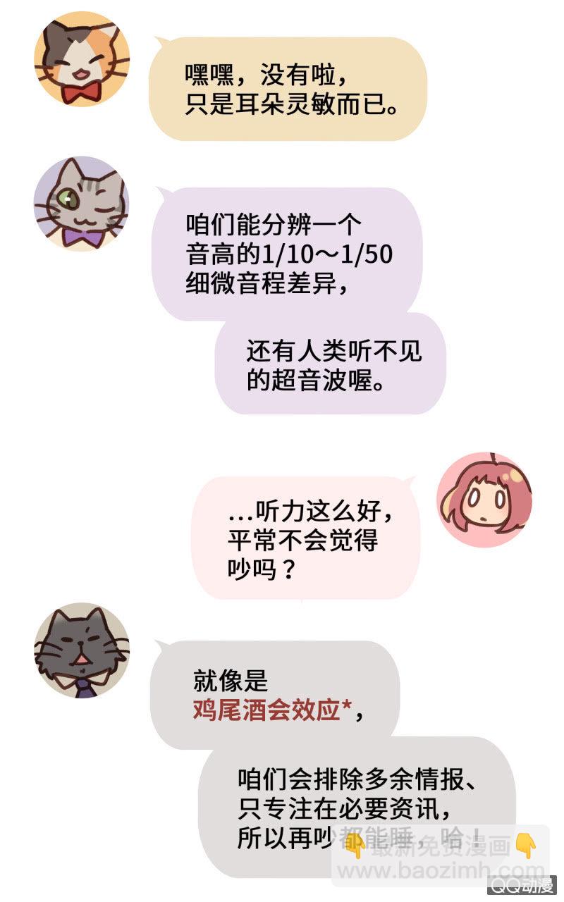 番外篇『知识喵：喵星人大解密』-第42话