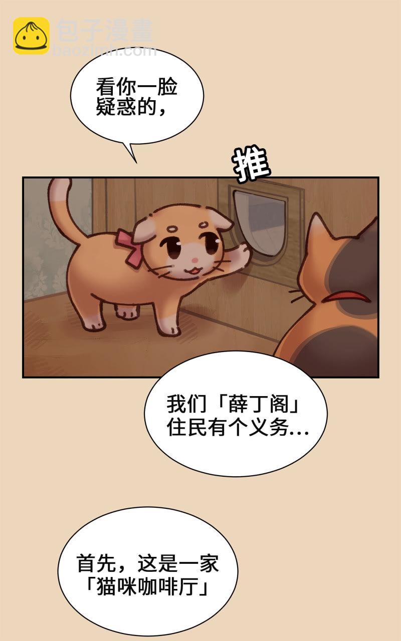 第4杯『社会新鲜喵！』-第6话