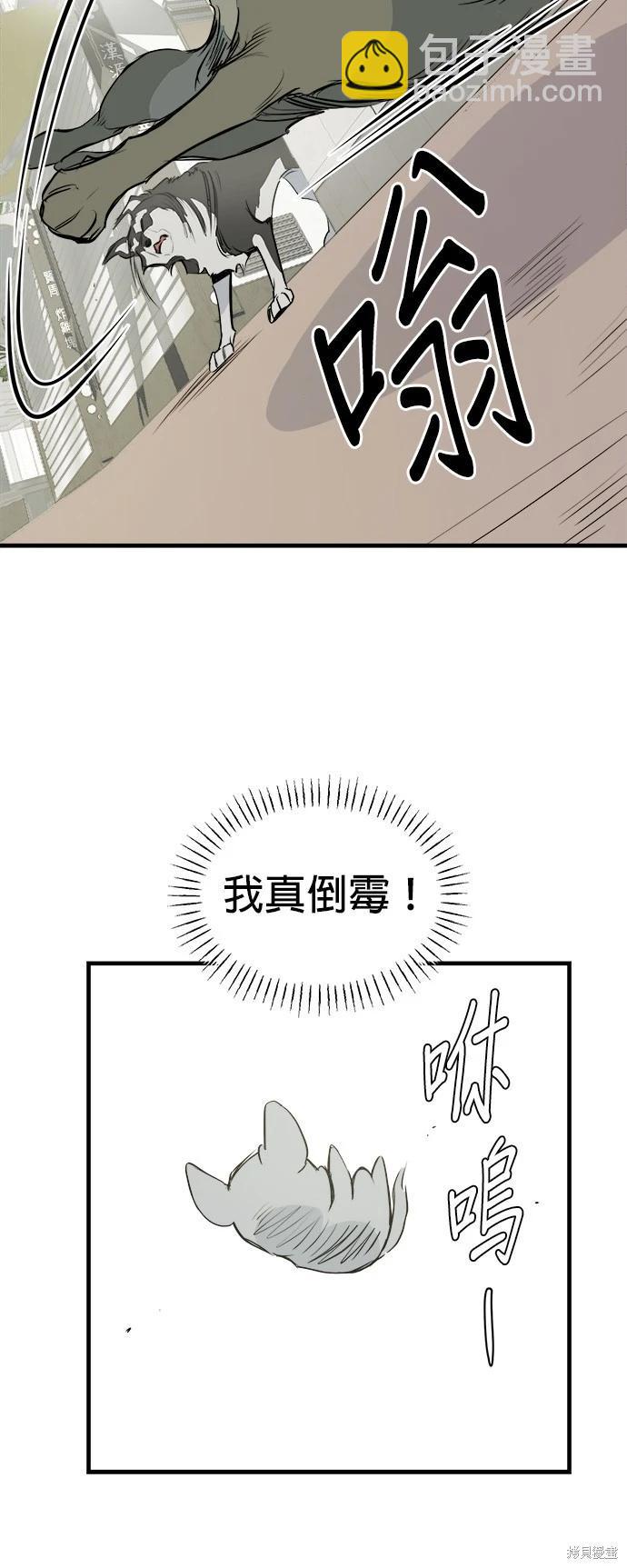 🍸狗狗末日生存法 第10话 第48页