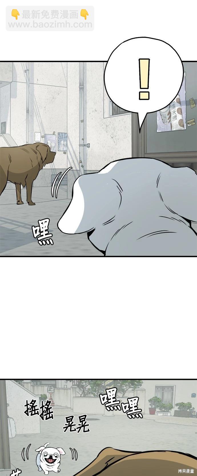 🍸狗狗末日生存法 第16话 第43页
