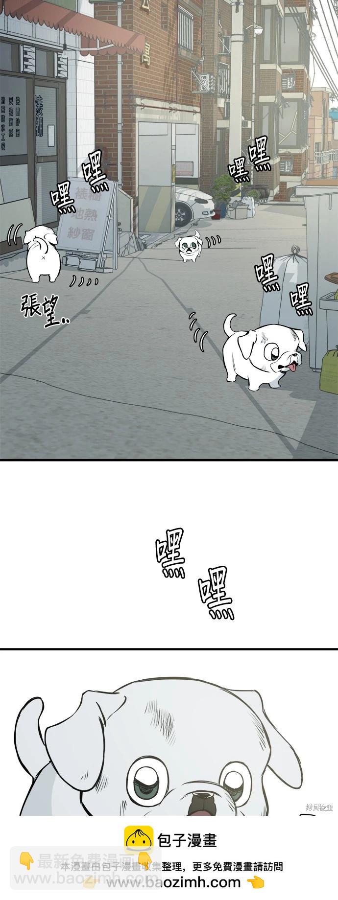 🍸狗狗末日生存法 第16话 第50页