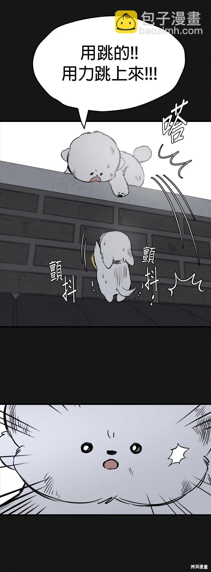 🍸狗狗末日生存法 第18话 第37页