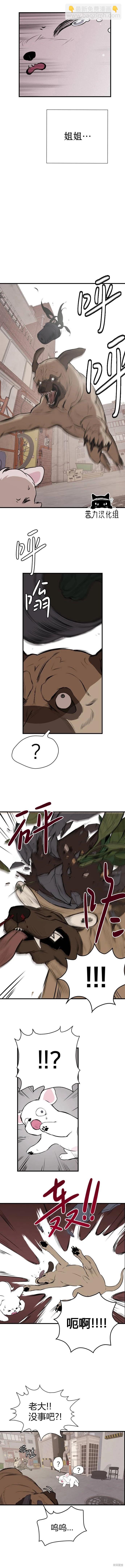 🍸狗狗末日生存法 第02话 第12页