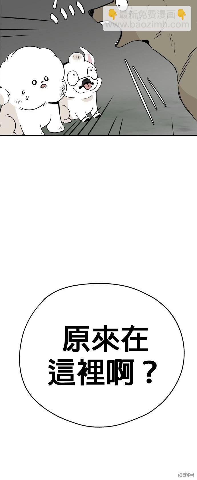 🍸狗狗末日生存法 第20话 第28页
