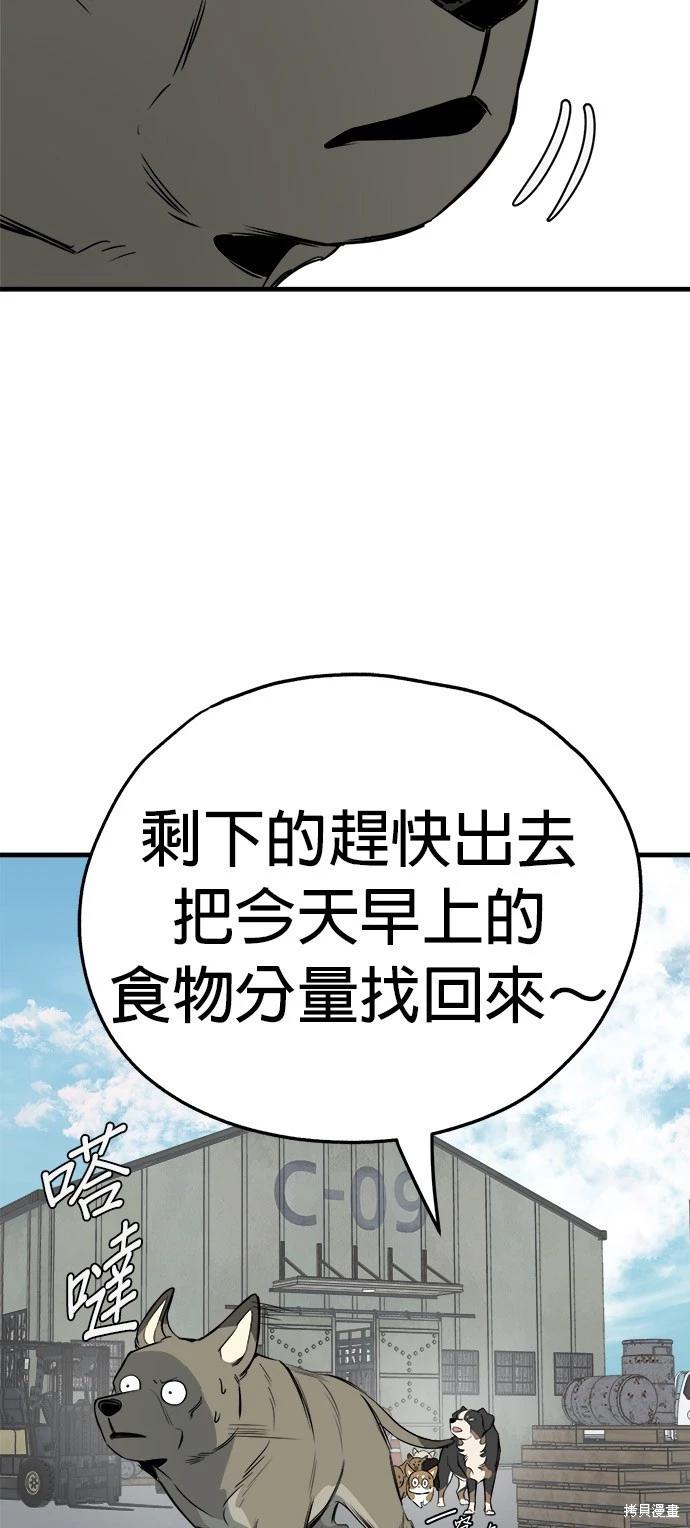 🍸狗狗末日生存法 第22话 第27页