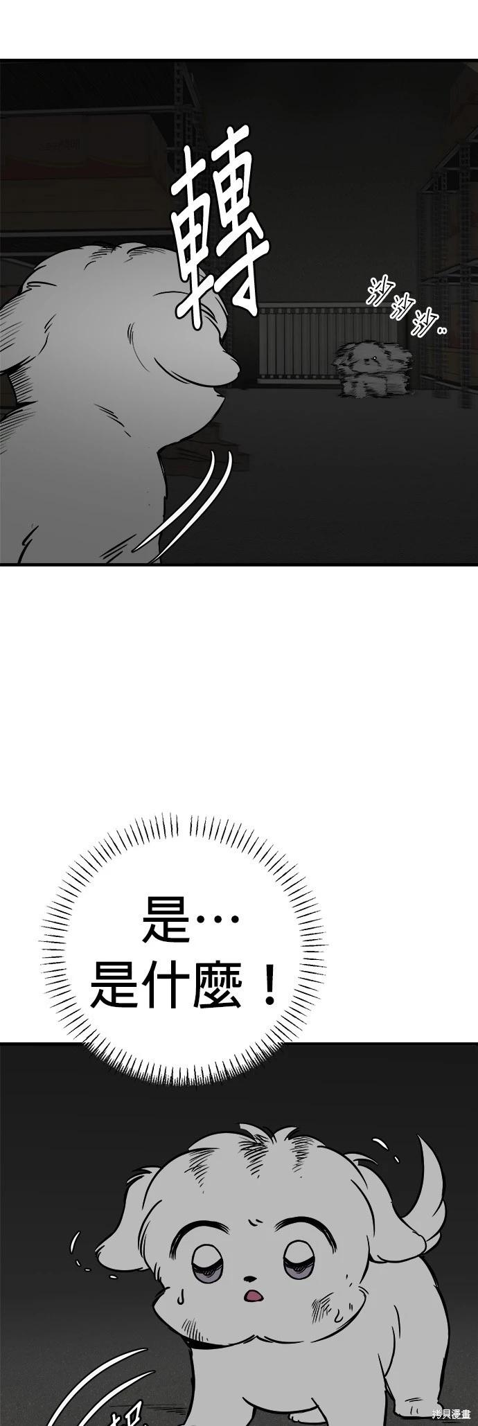 🍸狗狗末日生存法 第22话 第34页