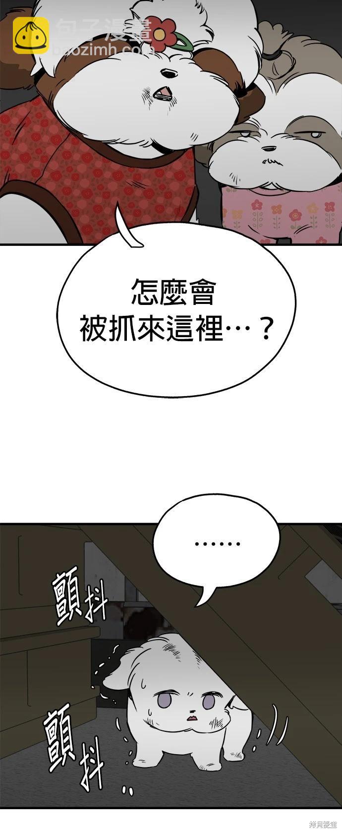 🍸狗狗末日生存法 第22话 第46页