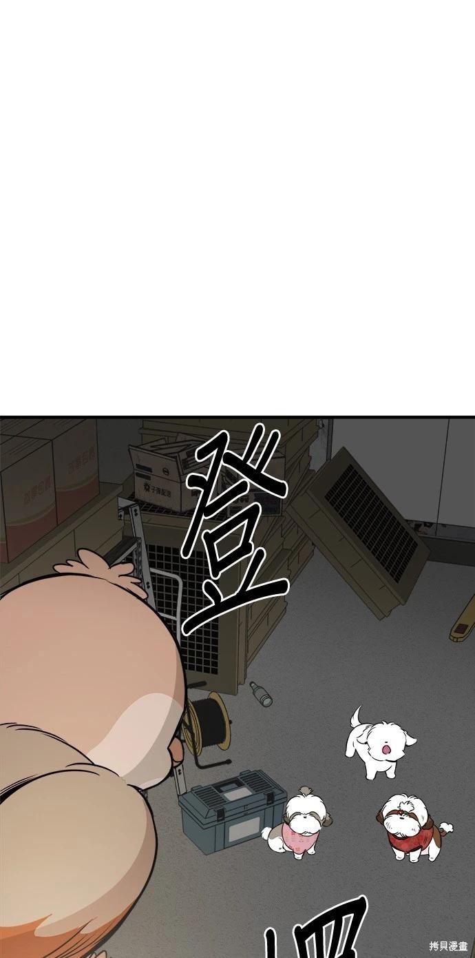 🍸狗狗末日生存法 第25话 第1页