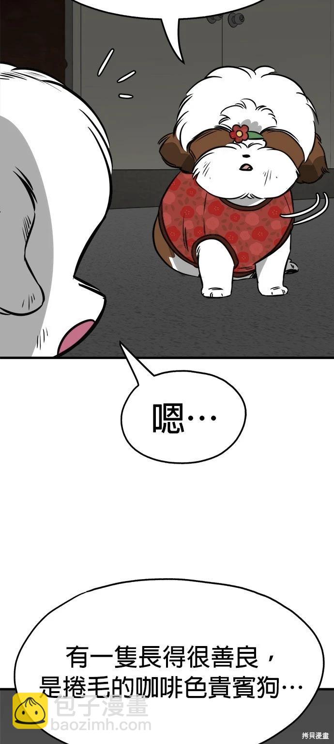 🍸狗狗末日生存法 第25话 第10页