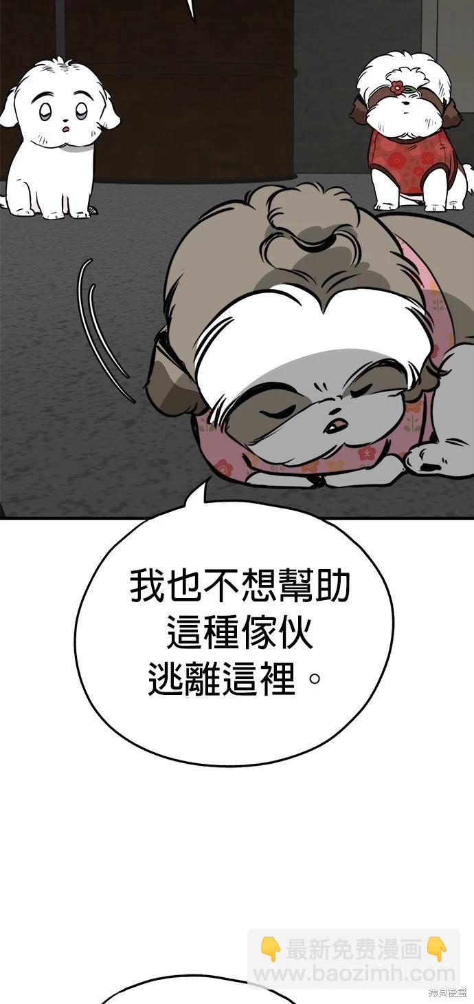 🍸狗狗末日生存法 第25话 第47页