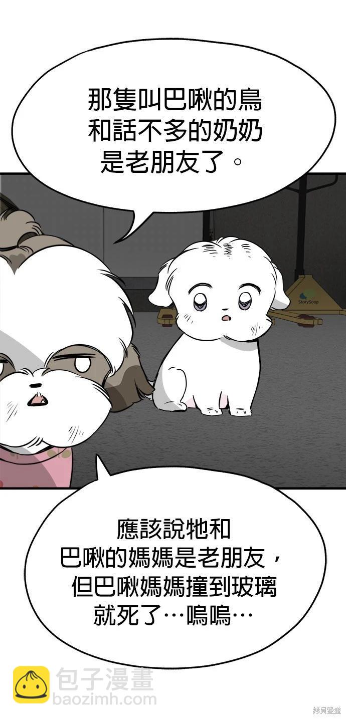 🍸狗狗末日生存法 第25话 第7页