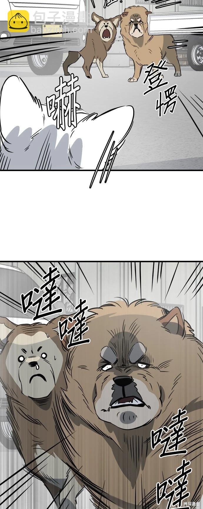 🍸狗狗末日生存法 第27话 第11页