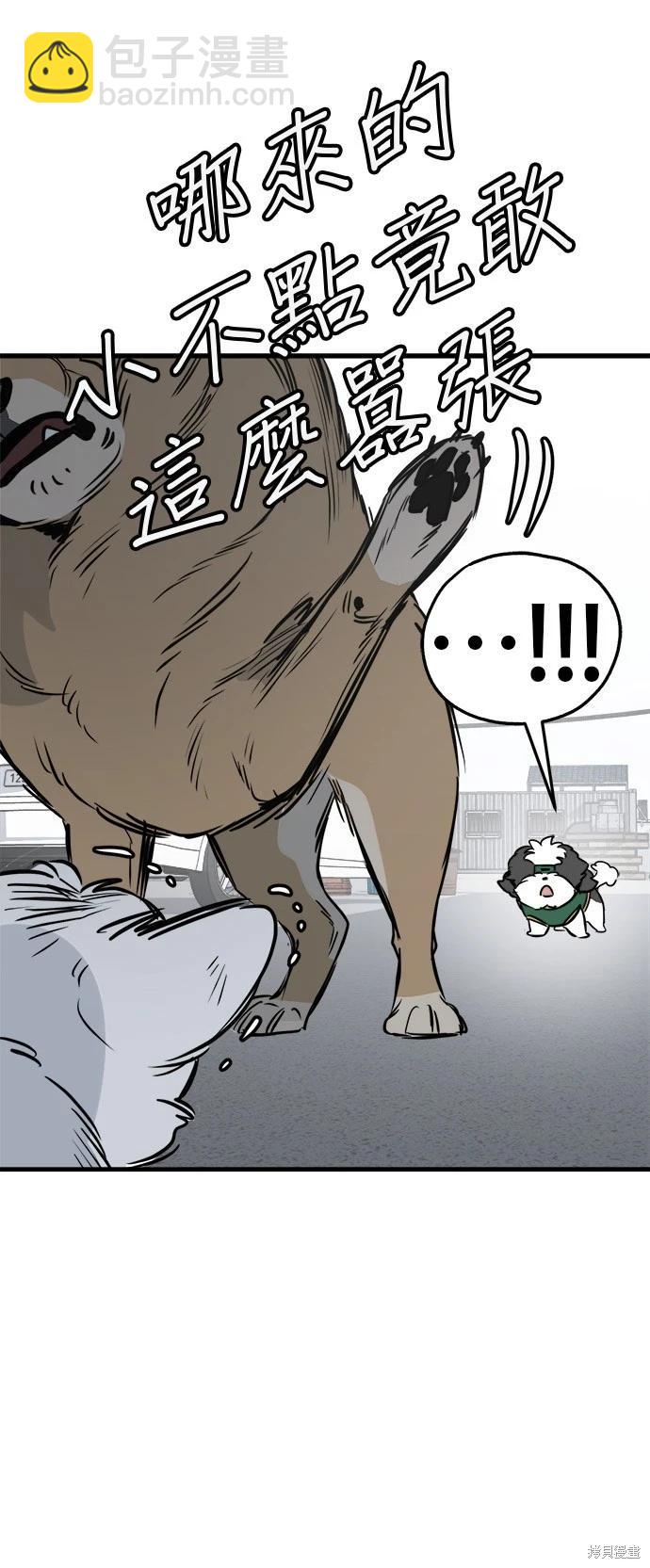 🍸狗狗末日生存法 第27话 第17页