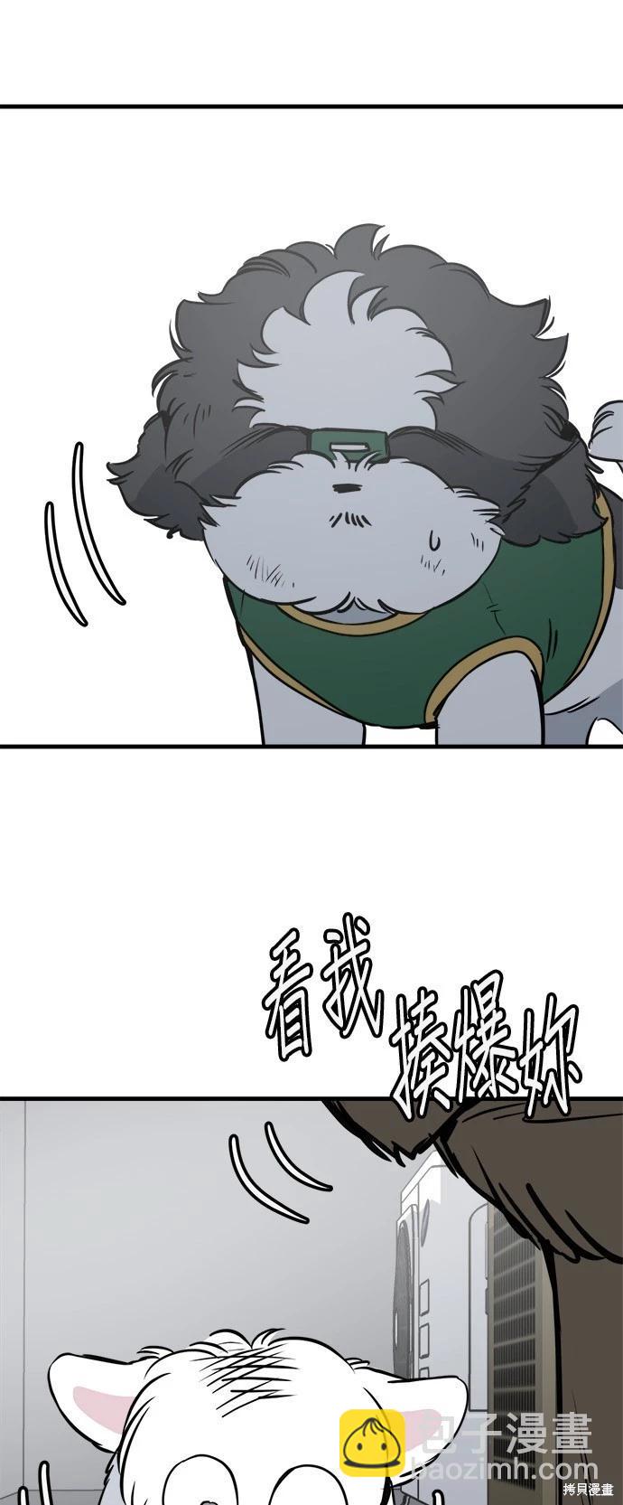 🍸狗狗末日生存法 第27话 第19页