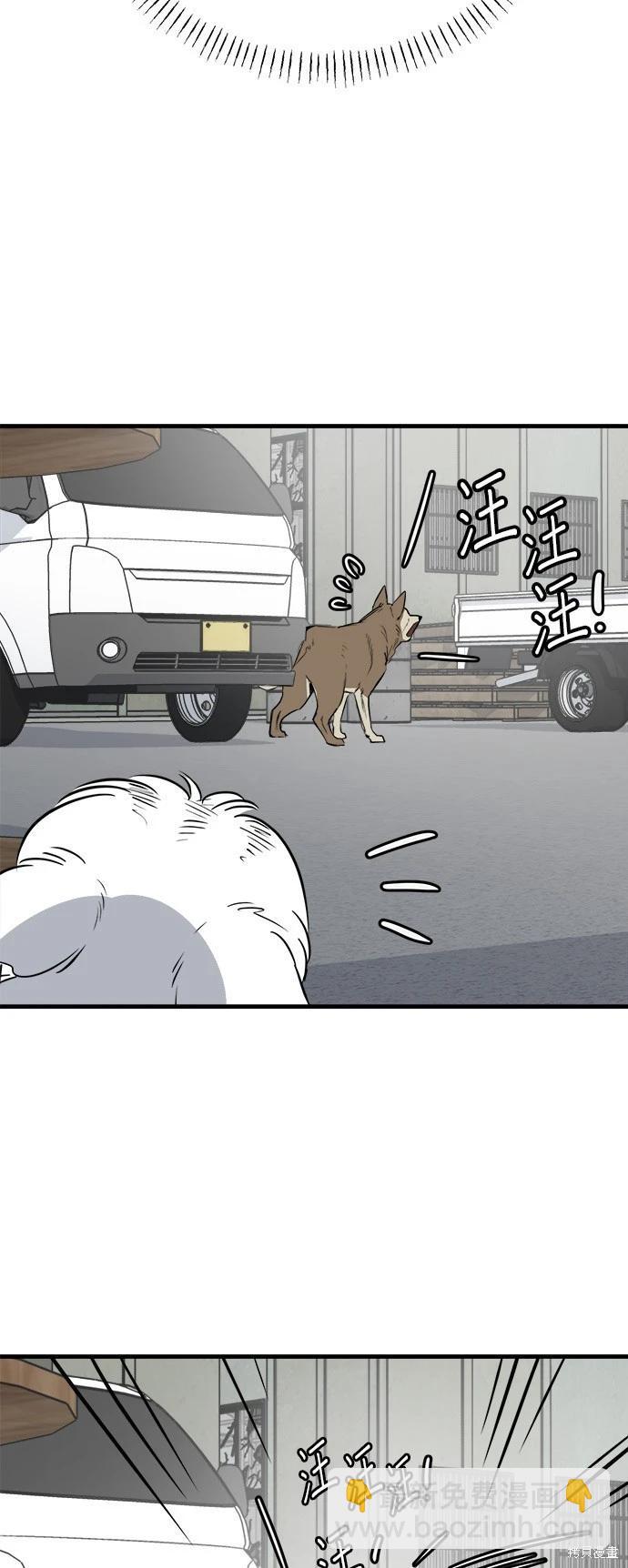 🍸狗狗末日生存法 第27话 第36页