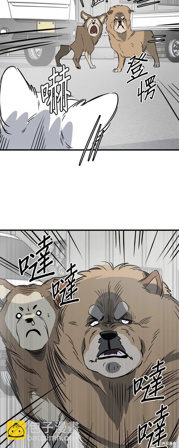 🍸狗狗末日生存法 第27话 第38页