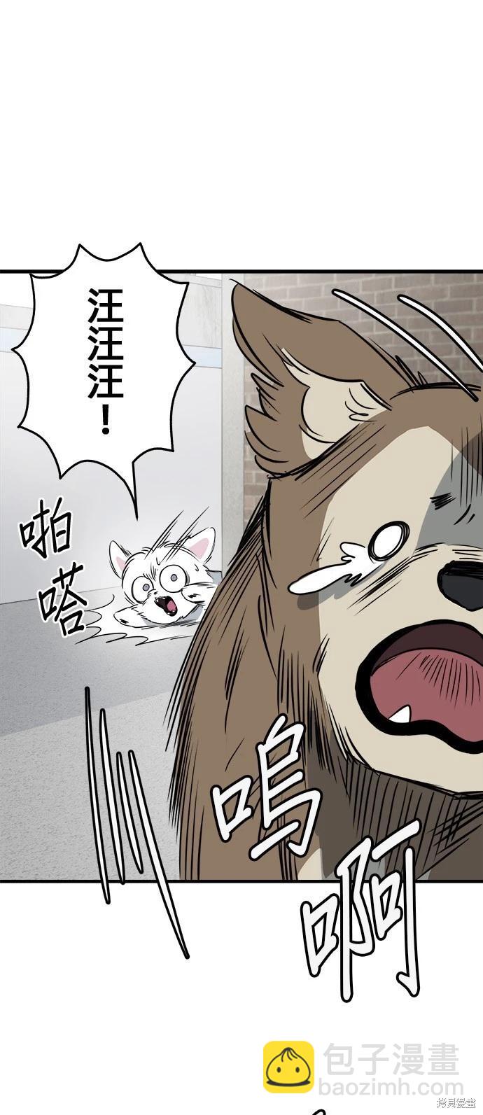 🍸狗狗末日生存法 第27话 第5页