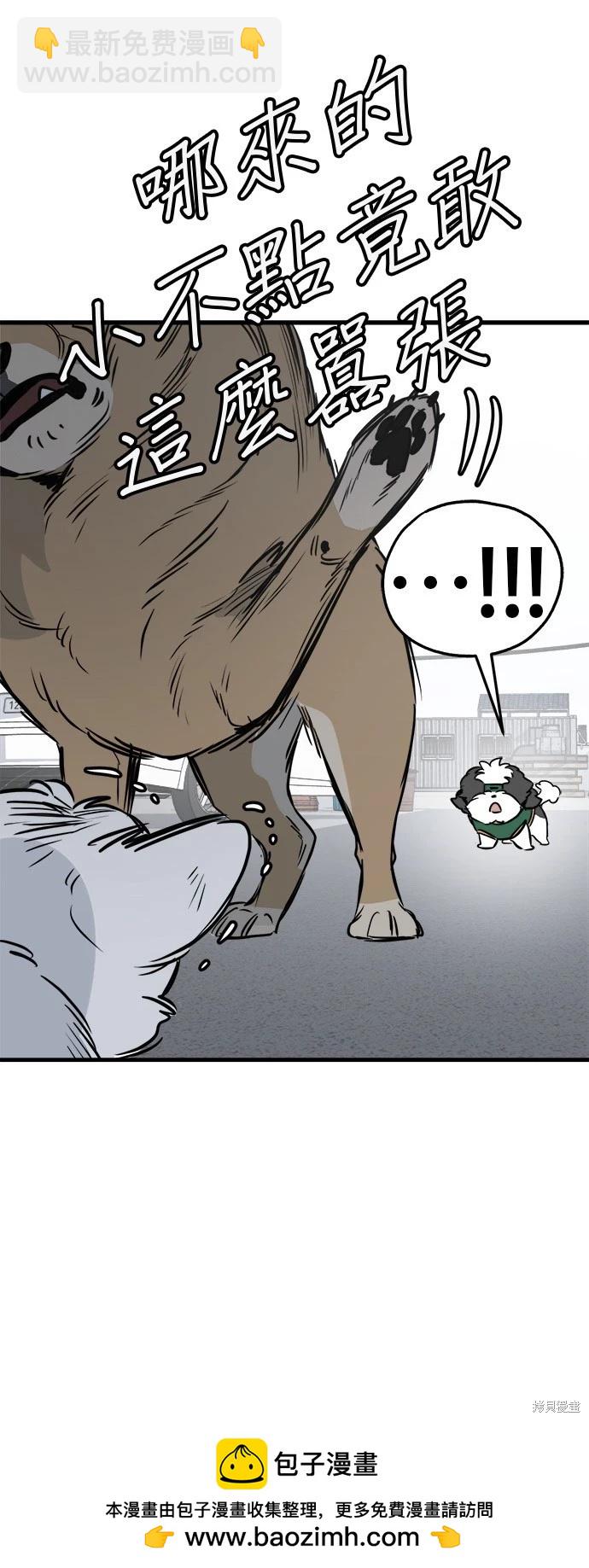 🍸狗狗末日生存法 第27话 第50页