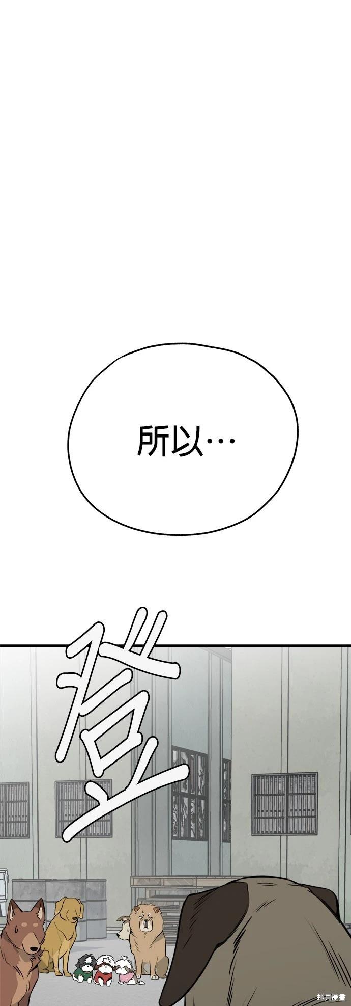 🍸狗狗末日生存法 第29话 第1页