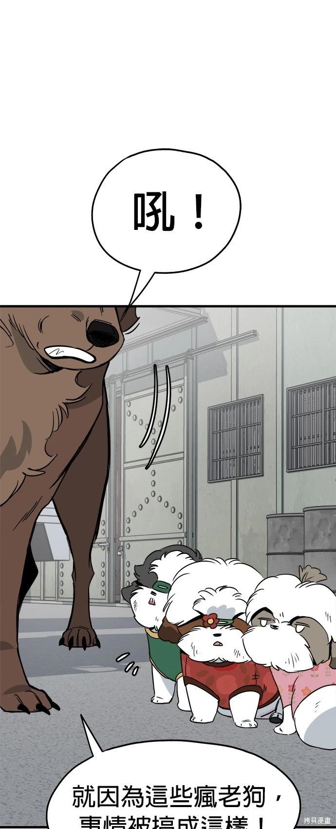 🍸狗狗末日生存法 第29话 第10页