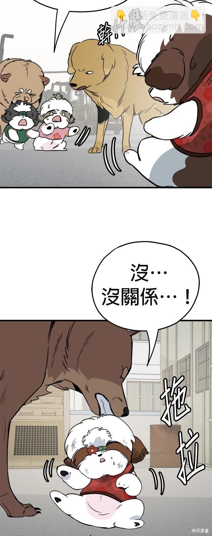 🍸狗狗末日生存法 第29话 第14页