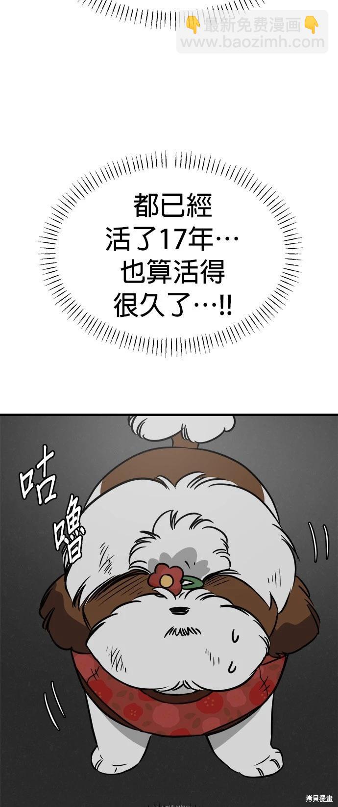 🍸狗狗末日生存法 第29话 第31页