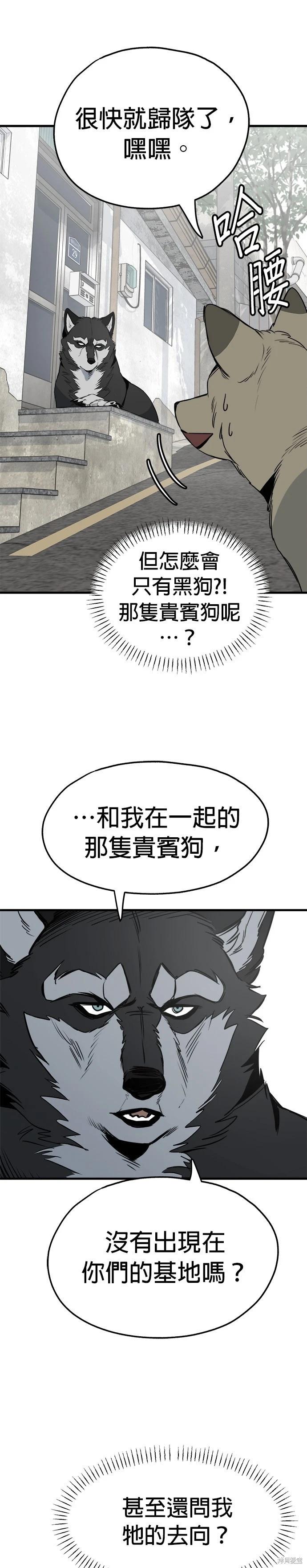 🍸狗狗末日生存法 第29话 第39页