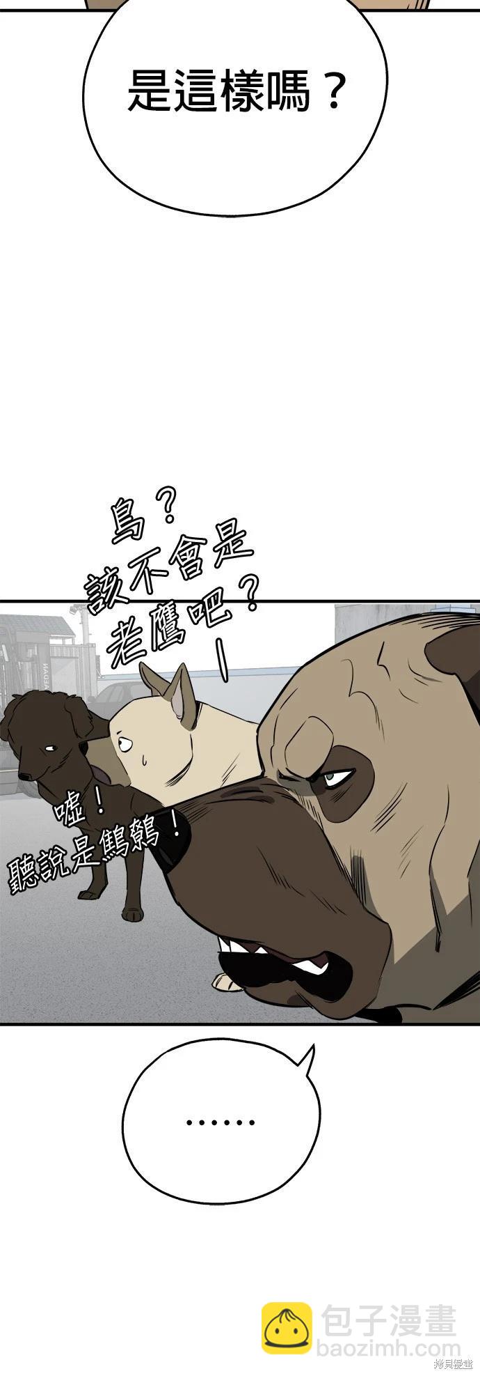 🍸狗狗末日生存法 第29话 第4页