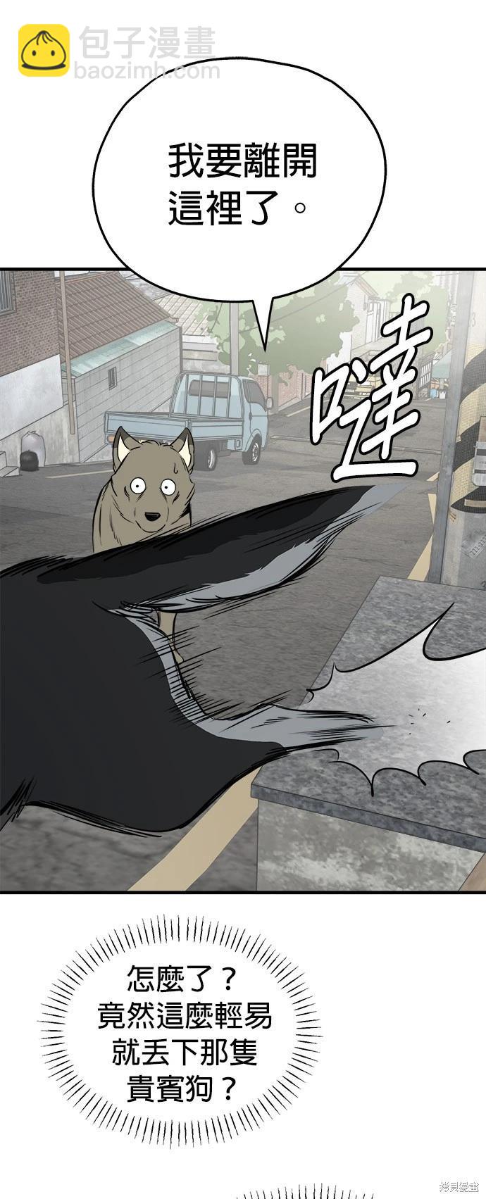 🍸狗狗末日生存法 第29话 第41页