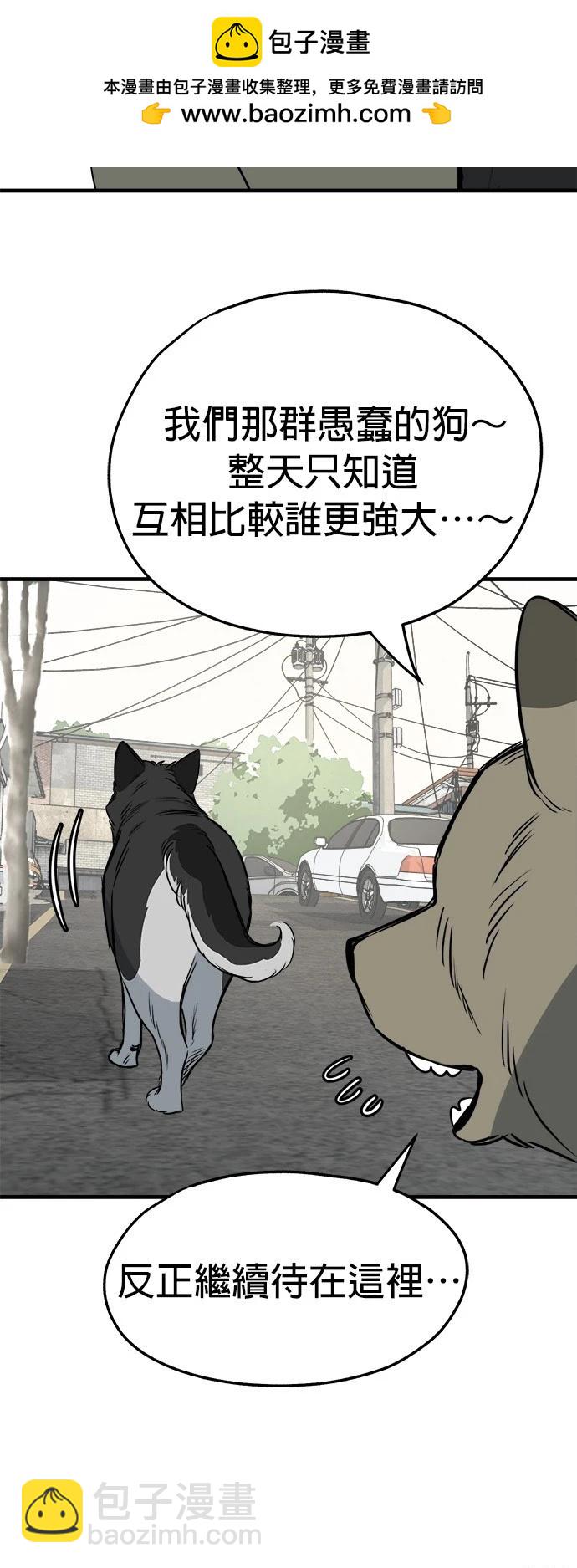 🍸狗狗末日生存法 第29话 第44页